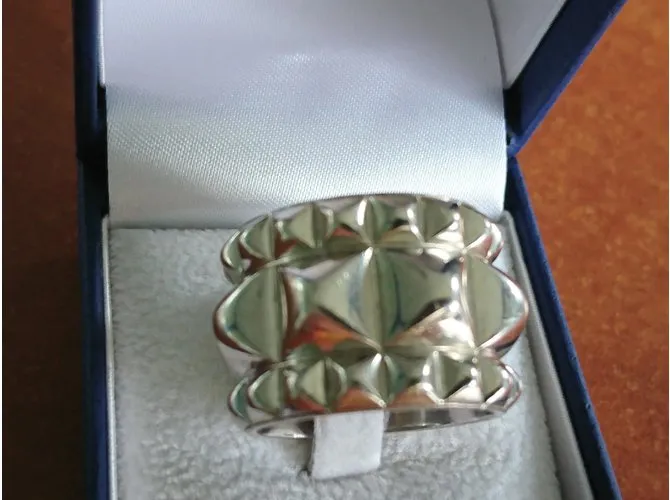 Hermès Espionne Plata 
