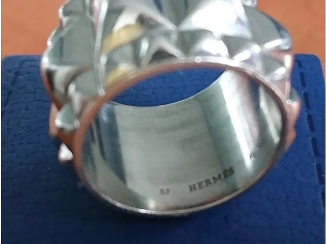 Hermès Espionne Plata 